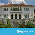 Dedinje