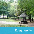 Kosutnjak